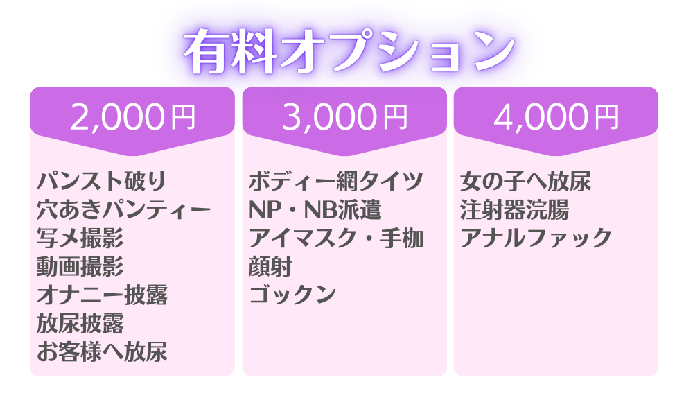 有料オプション
